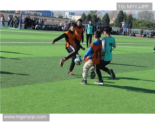 绿茵场上的梦想：足球明星的校园生活与成长故事